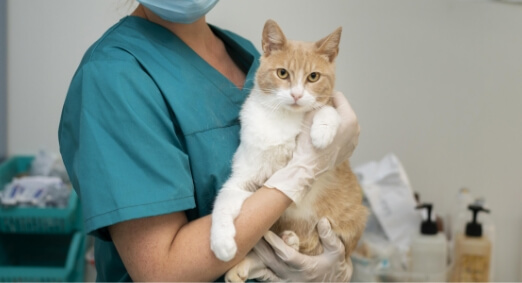 料金事例イメージ